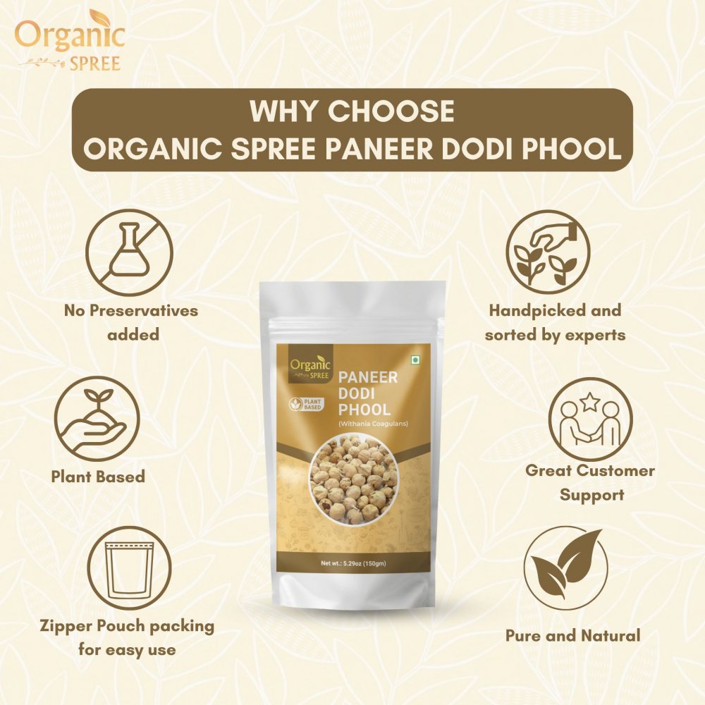 Organic Spree Paneer Dodi Phool 150gm (5.29oz) Withania Coagulans – Pure and Natural Paneer Phool