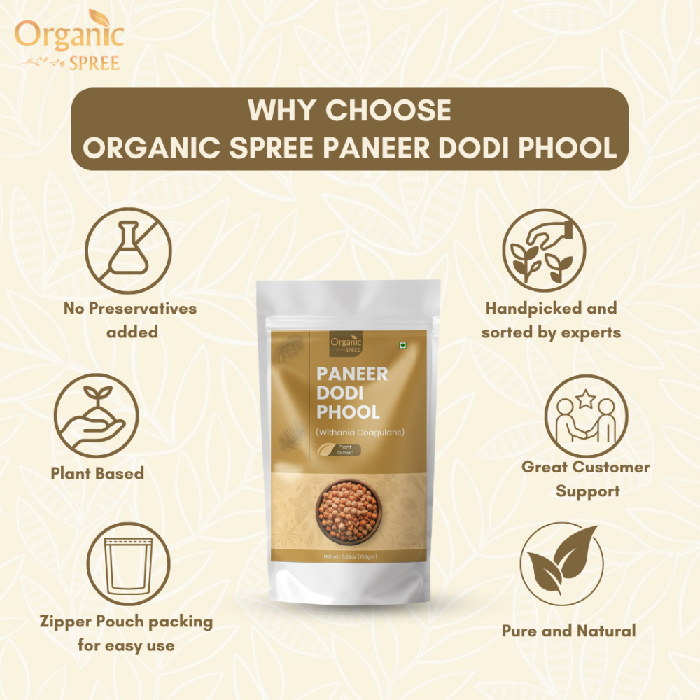 Organic Spree Paneer Dodi Phool 150gm (5.29oz) Withania Coagulans – Pure and Natural Paneer Phool